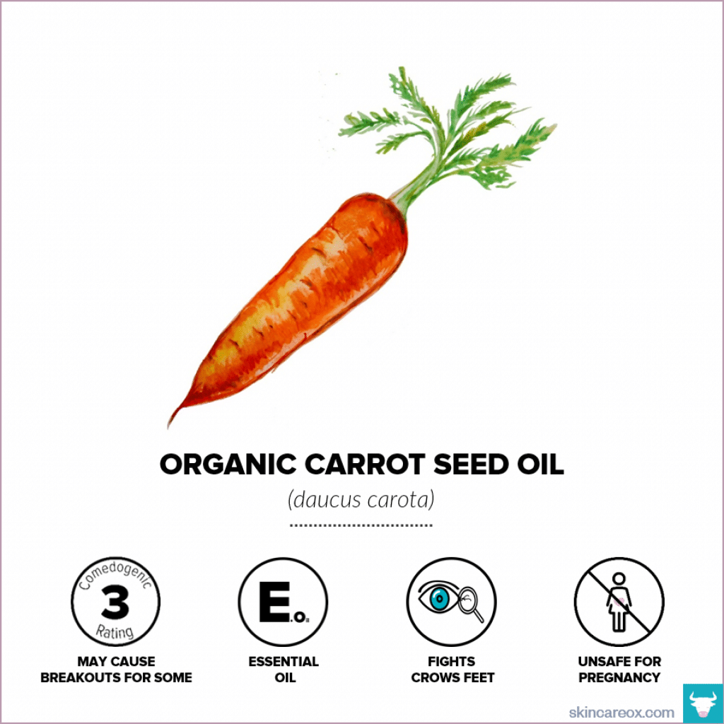 Organic skin care oils. Organic carrot seed oil infographic with comedogenic rating, safety information, and useful tips.