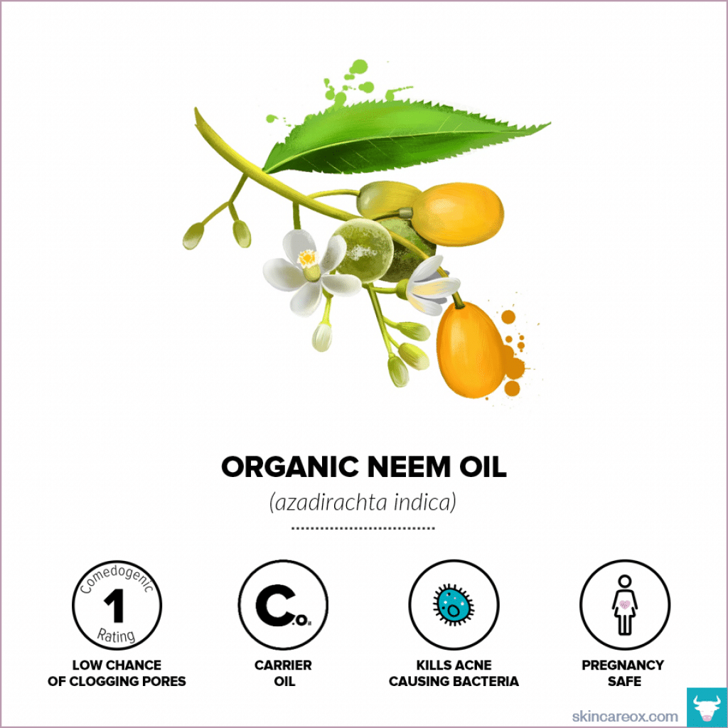 Organic skin care oils. Organic neem oil infographic with comedogenic rating, safety information, and useful tips.