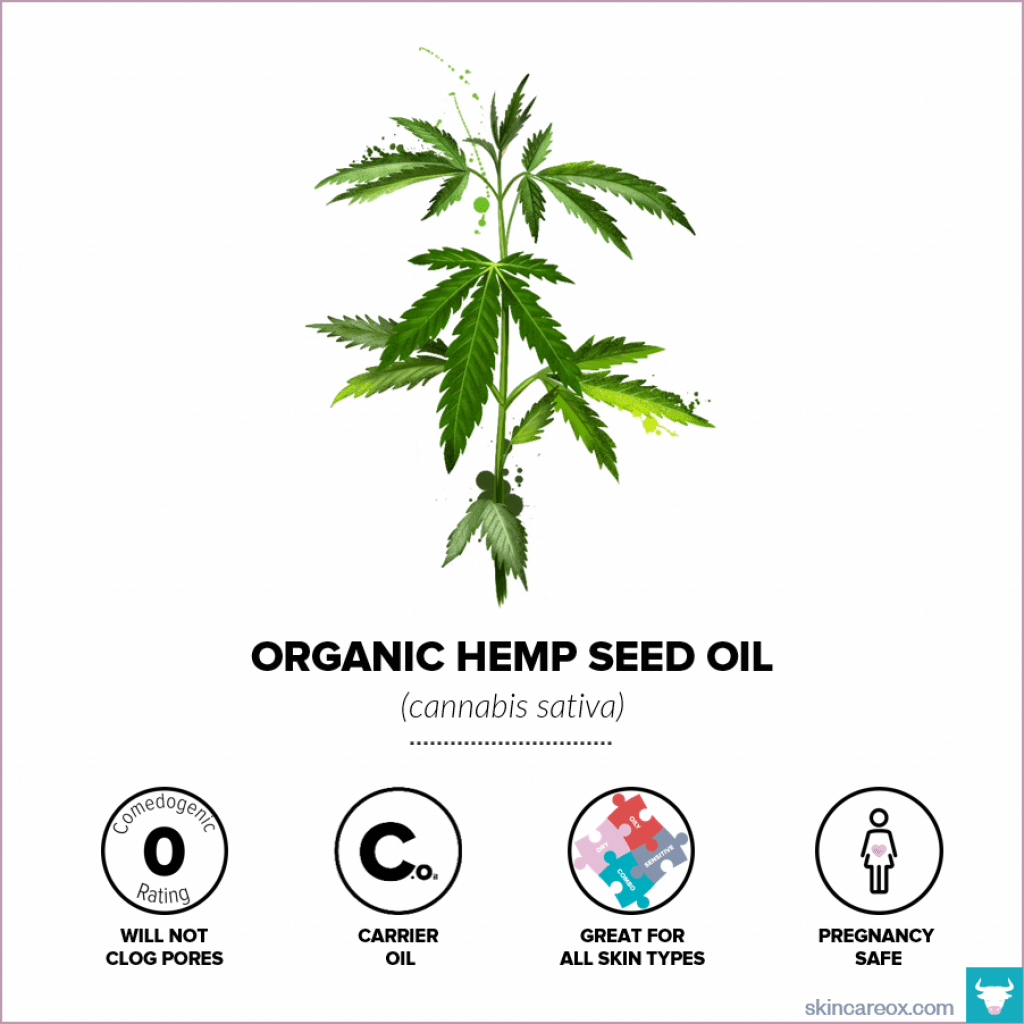 Organic skin care oils. Organic hemp seed oil infographic with comedogenic rating, safety information, and useful tips.