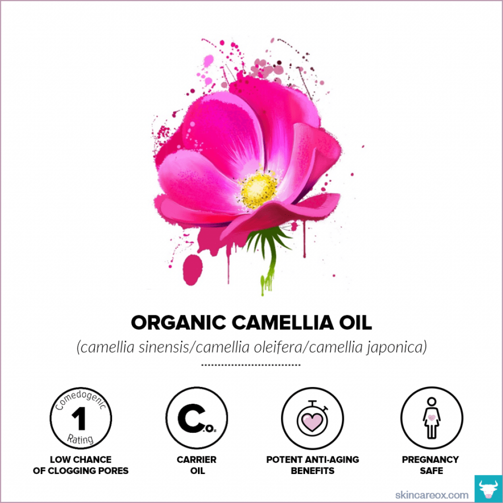 Organic Camellia Oil for Skin Care - Skin Care Ox