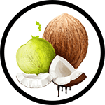 Organic Coconut Oil_Organic Deodorant Ingredients