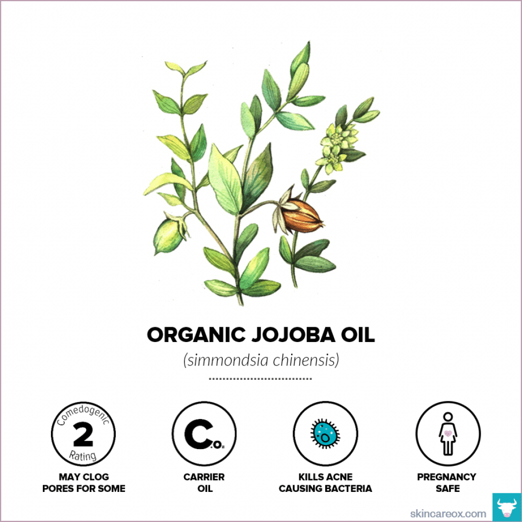 Organic Jojoba Oil for Skin Care - Skin Care Ox