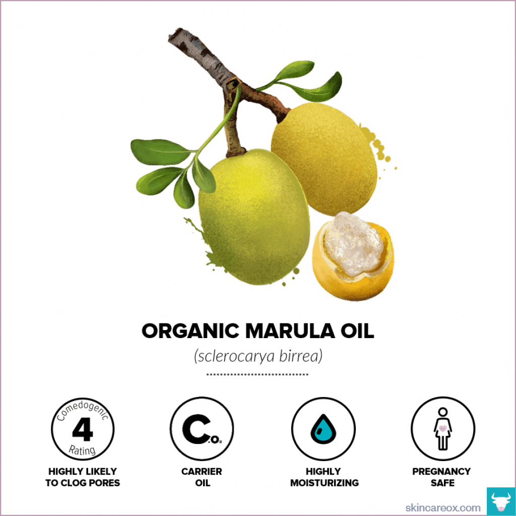 Organic Marula Oil for Skin Care - Skin Care Ox