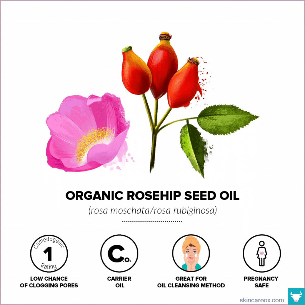 Organic Rosehip Seed Oil for Skin Care - Skin Care Ox