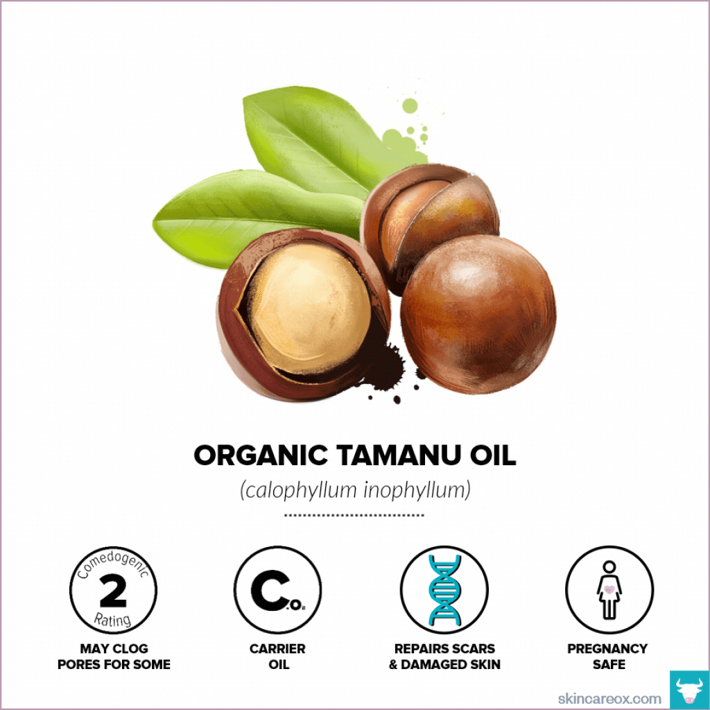 Organic Tamanu Oil for Skin Care - Skin Care Ox