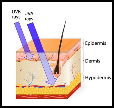 uva-vs-uvb-rays_400px-min