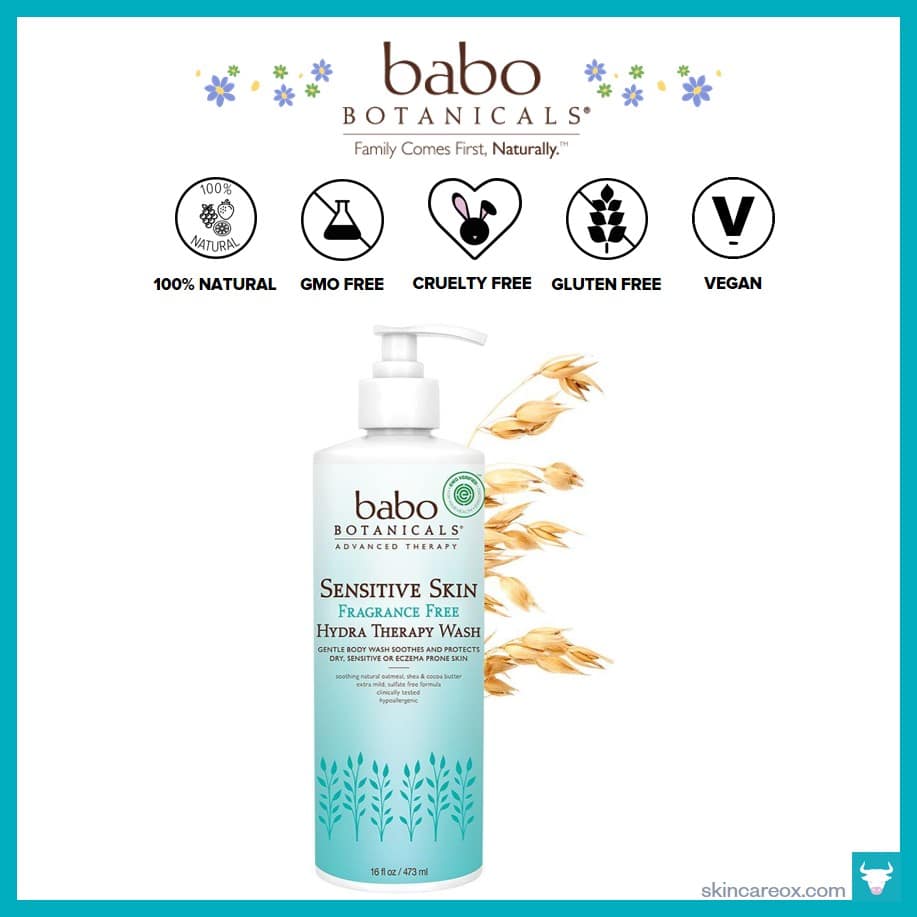 https://skincareox.com/wp-content/uploads/2020/01/babo-botanicals_-sensitive-skin-fragrance-free-all-natural-hand-wash.jpg